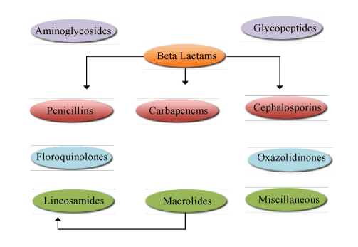 Antibiotic Classification