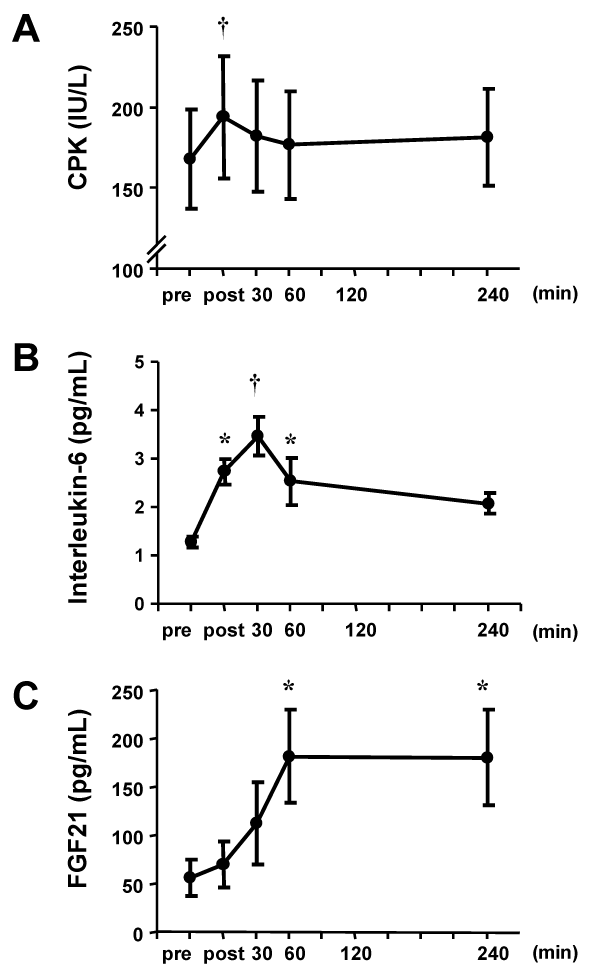 Healthy+heartbeat+during+exercise