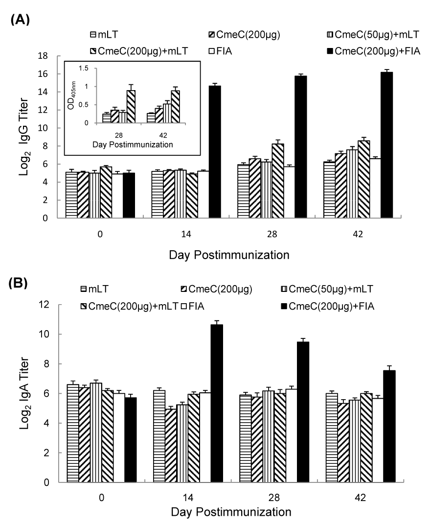 Subunit Vaccine