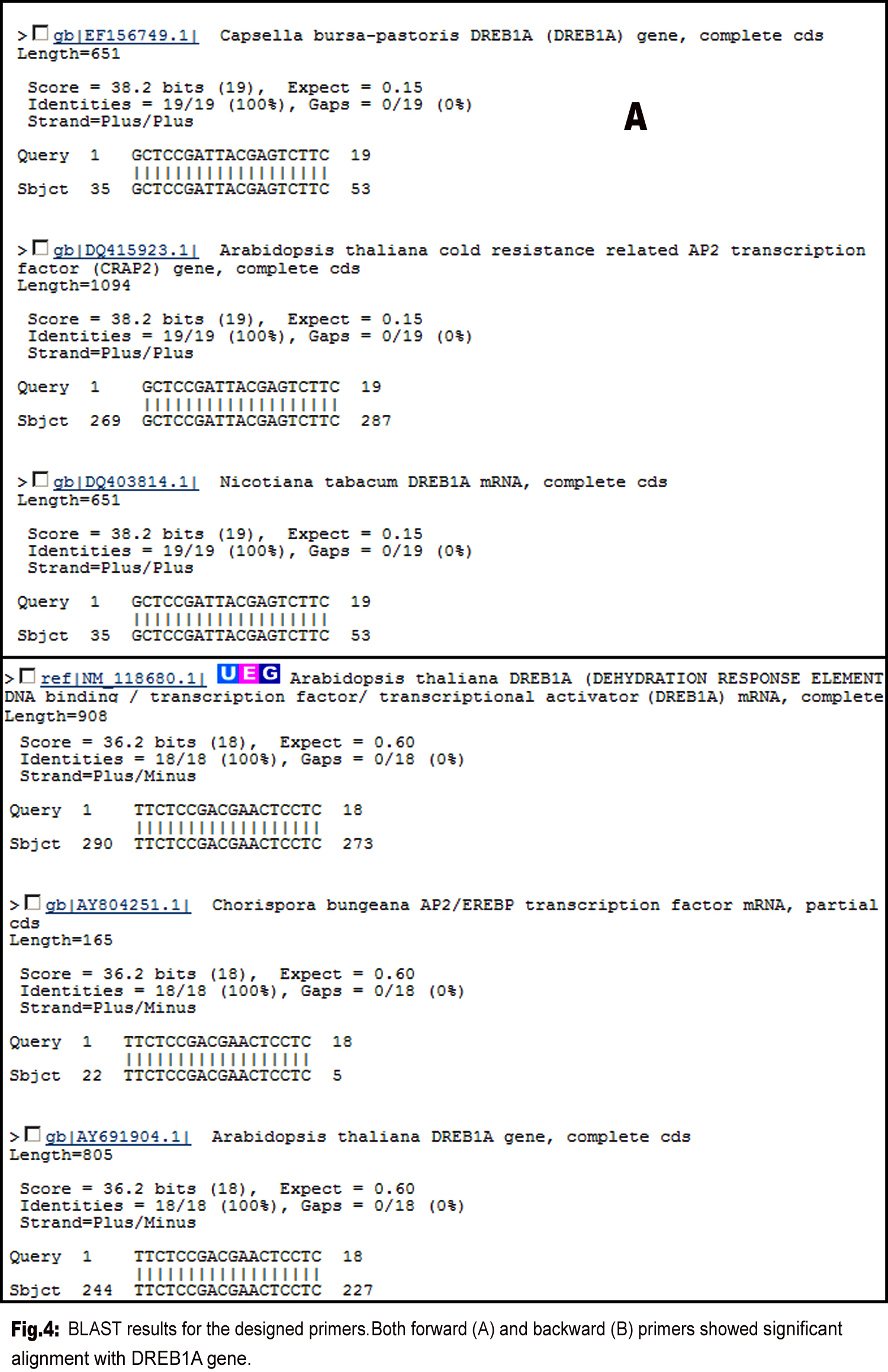 Figure 2: Primer3 output for the designed primers. Primer3 results ...