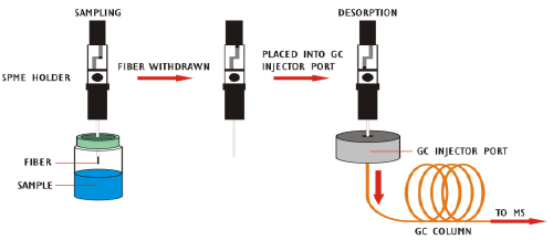 solid-phase-microextraction-spme-method-development-in-analysis-of