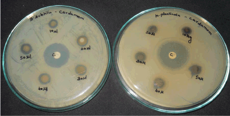 Figure ... - 41228-1593-green-synthesis-and-characterization-of-silver-nanoparticles-andevaluation-of-their-antibacterial-activity-using-elettar