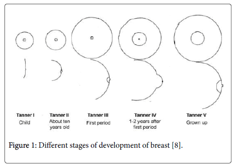 Biology Medicine Stages