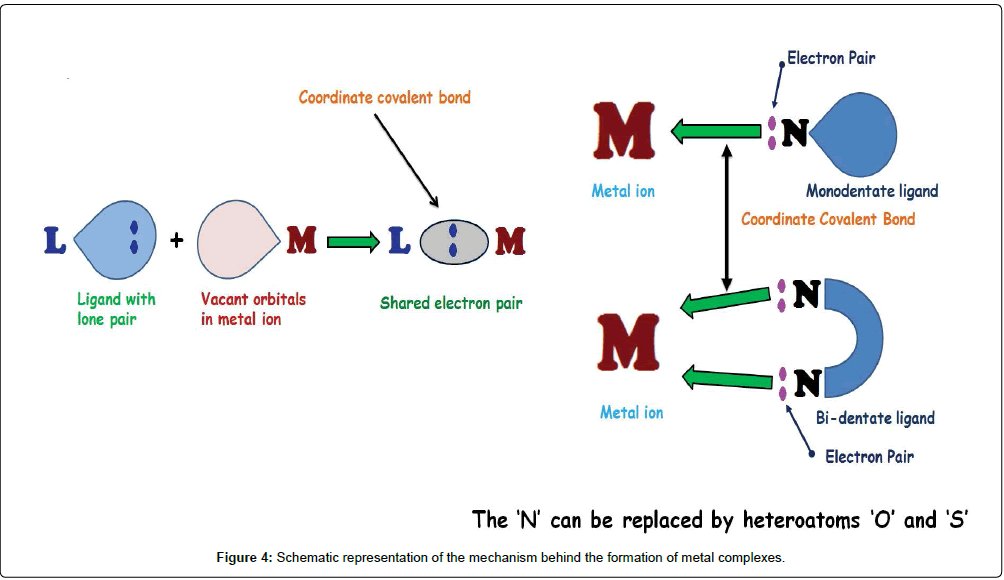 chemical-biology-therapeutics-Schematic-representation-mechanism