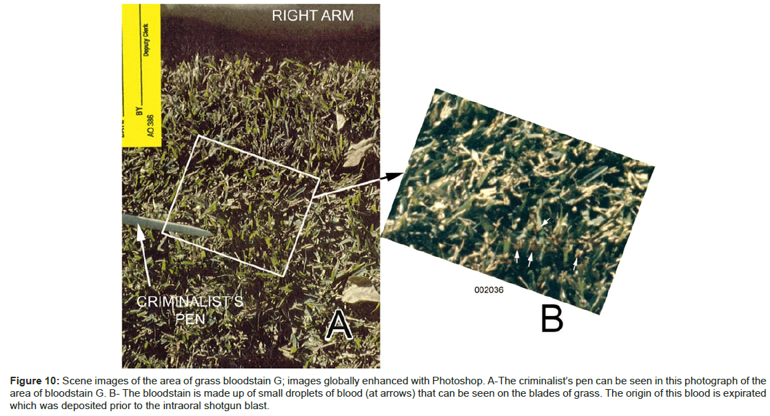 forensic-research-area-grass-bloodstain