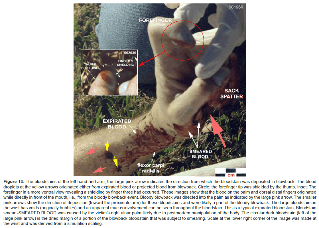 forensic-research-bloody-blowback-event