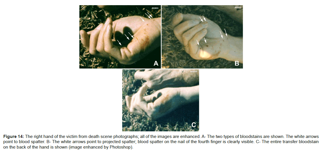 forensic-research-death-scene-photographs