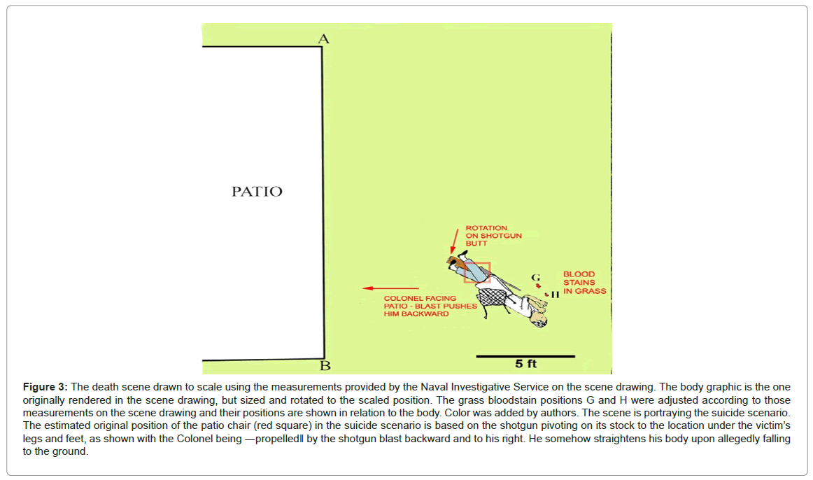 forensic-research-grass-bloodstain-positions