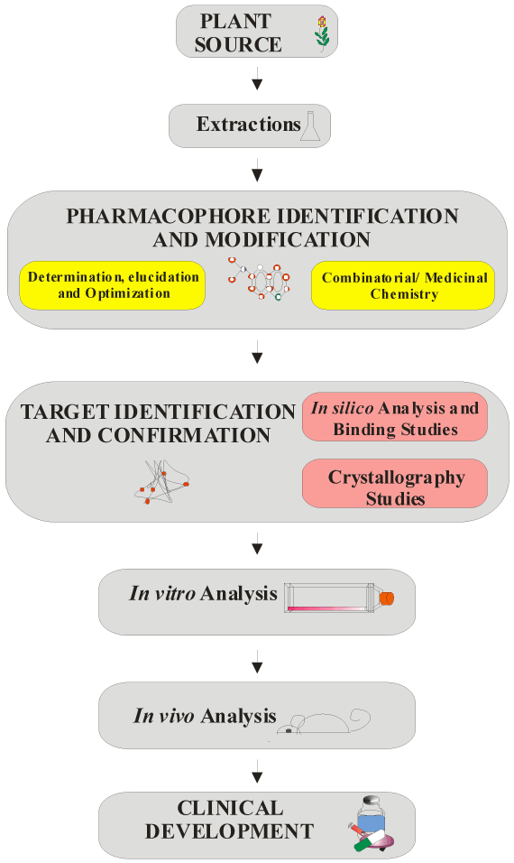 Antiviral drugs pharmacology ppt presentation - thesisprinters.web.fc2.com