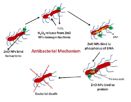 Diagrammatic Presentation