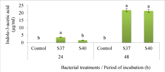 acetic