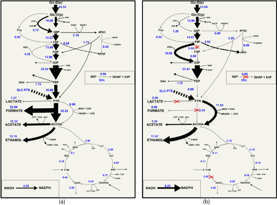 distribution