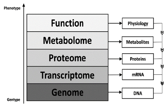 processes