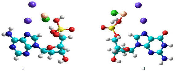 molecular