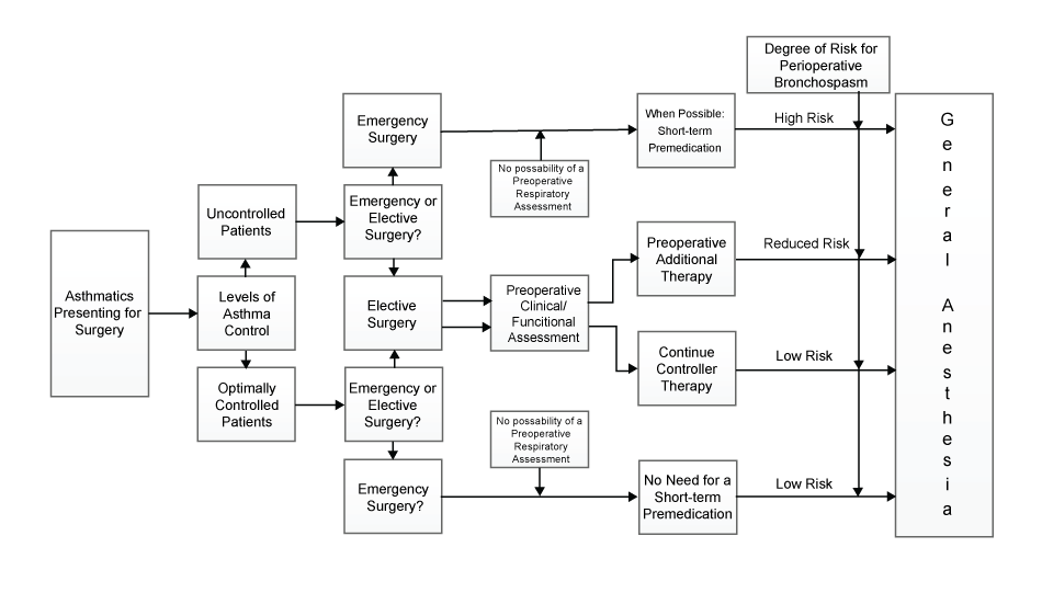 A pre-anesthetic assessment and plan can reduce