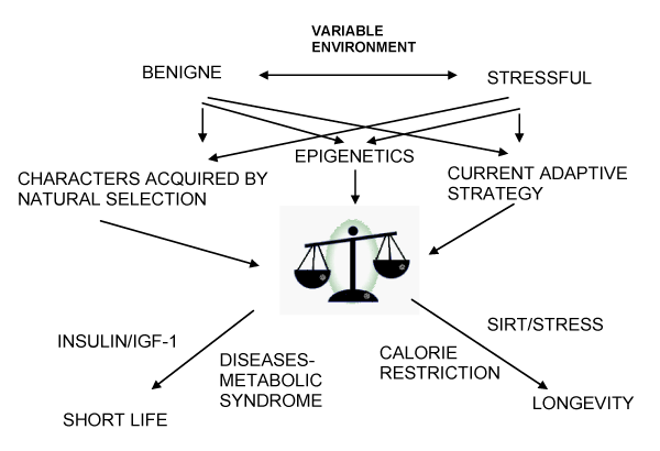 figure-1