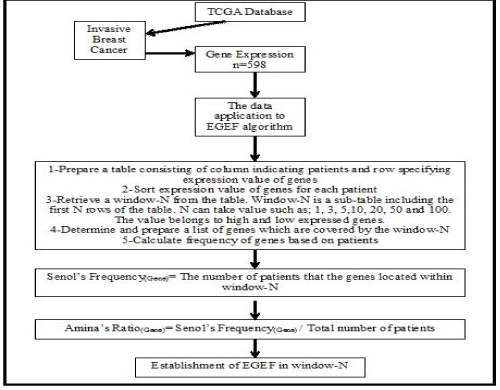 Algorithm