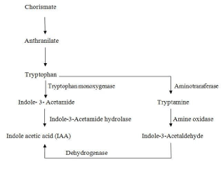 Mechanisms