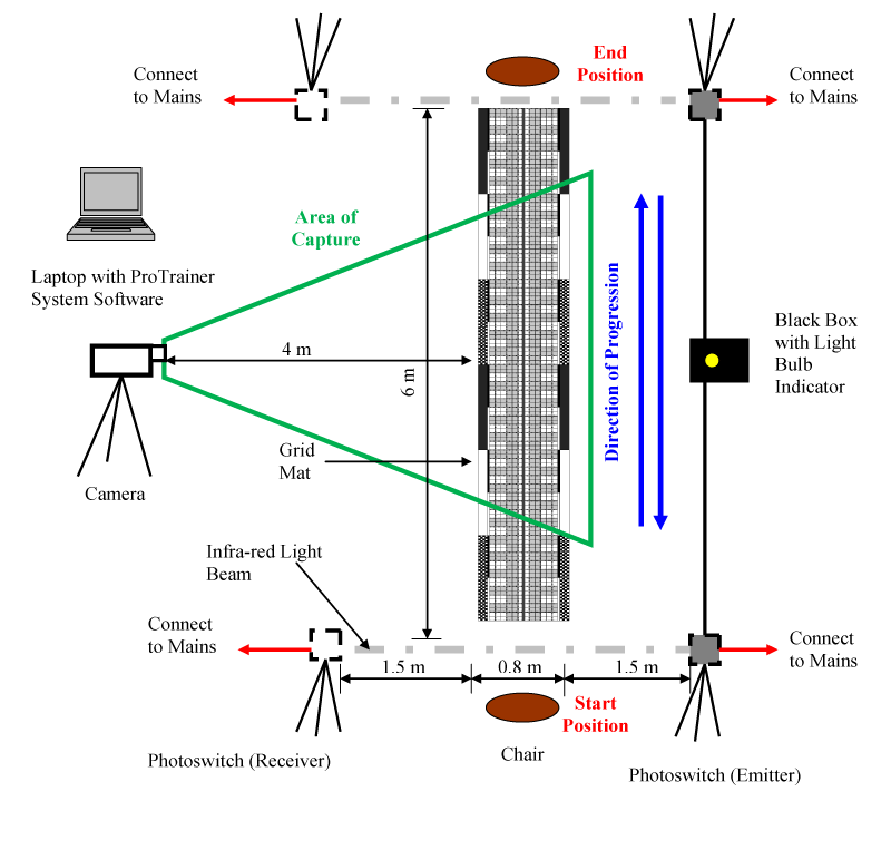 Figure 1 | Diagrammatic illustration..