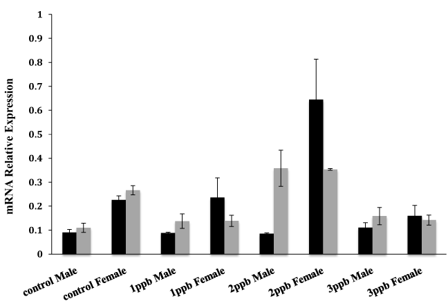 Relative Expression Level Of And Comparison