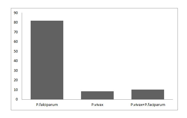 Distribution