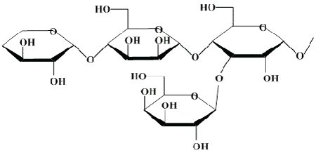 hemicellulose structure