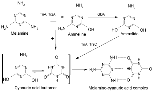 Melamine