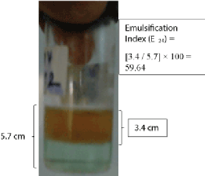 emulsion surface chemistry