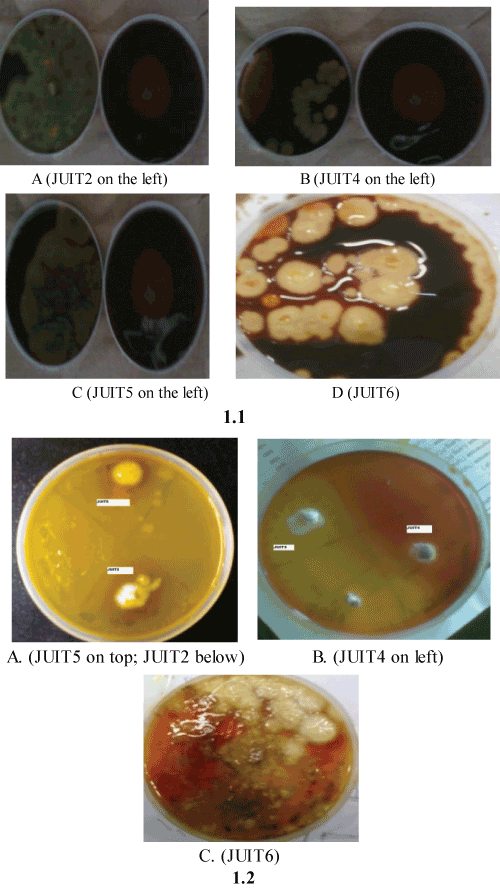 assays