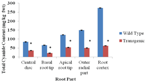 Distribution