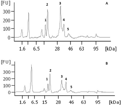 Electropherograms