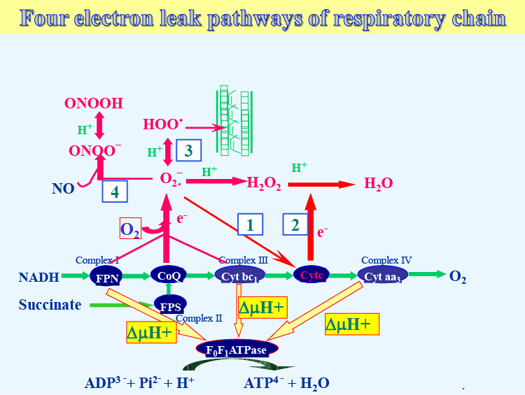 electron