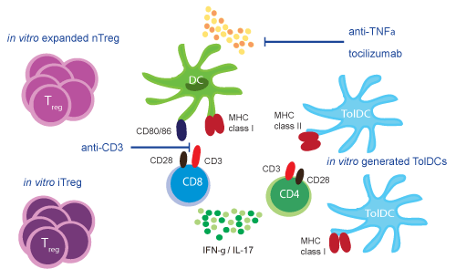 Immunotherapy in Rheumatoid Arthritis Prospects for the