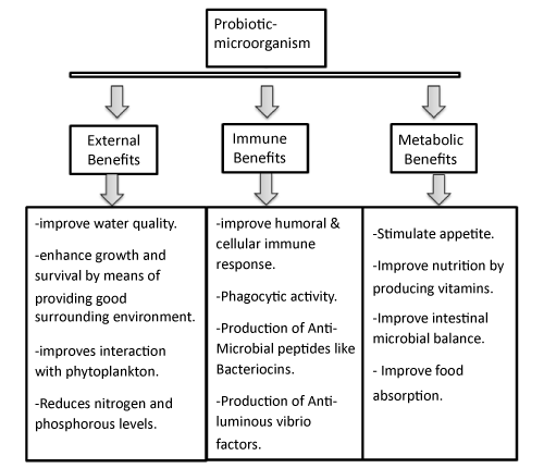 Probiotics: A Promoter for Aqua Farming | Open Access Journals