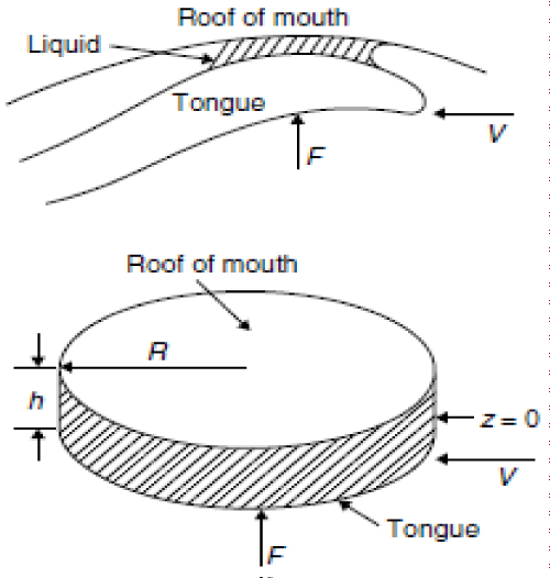 geometry