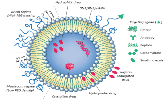 Various liposome