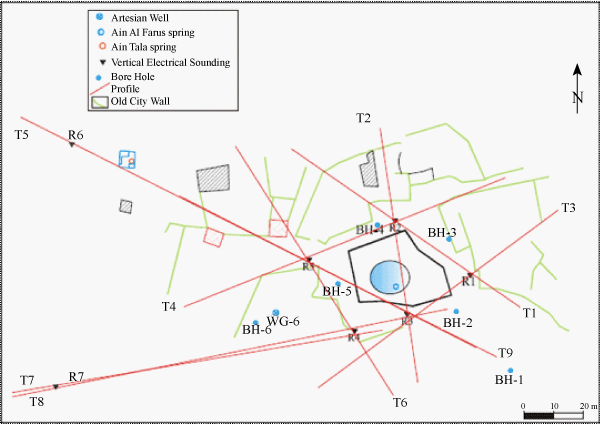 Layout of profiles detecting underground cavities.