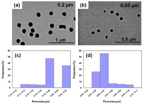 SEM Micrographs