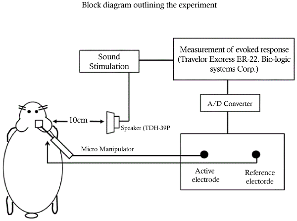 Block Diagram Of The Experimental