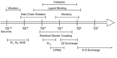 Hierarchy of time scales for protein motions. From left to right