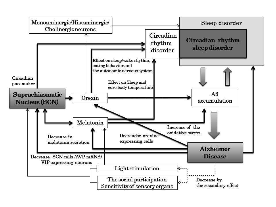 Circadian Rhythm Sleep Disorder in Alzheimer's Disease-A consideration ...