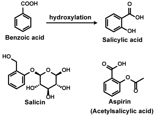 salicylic acid to aspirin