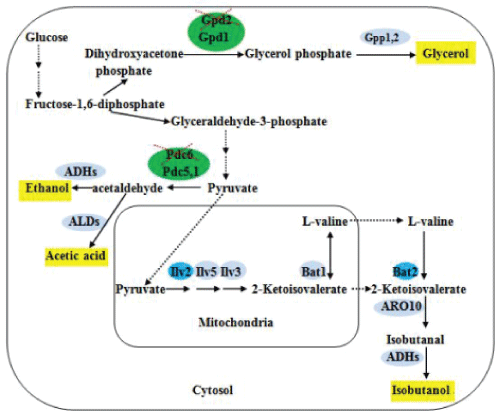 synthesis