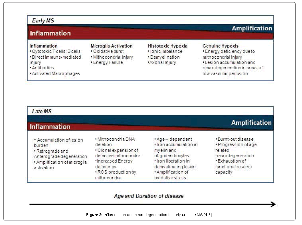 B-Cell Therapies In Relapsing Remitting And Primary Progressive ...