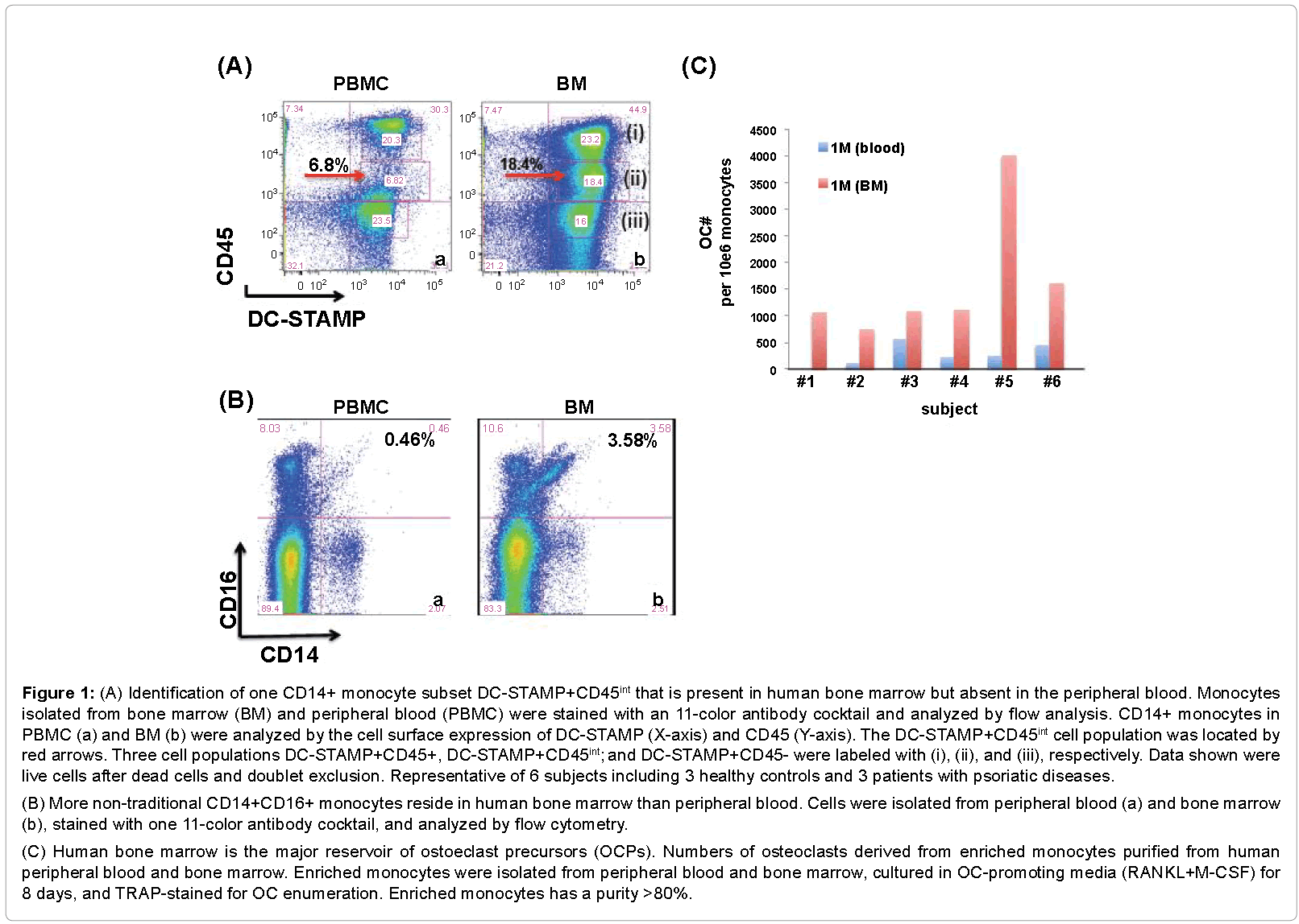 Characterization Of DC-STAMP+ Cells In Human Bone Marrow | OMICS ...