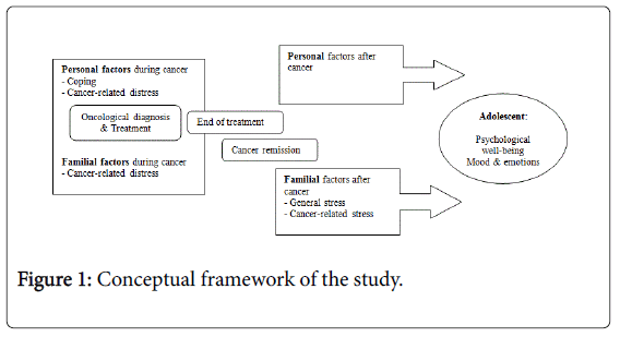 Child-adolescent-behaviour-conceptual-framework