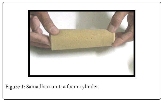 Foot-Ankle-Samadhan-unit-foam-cylinder