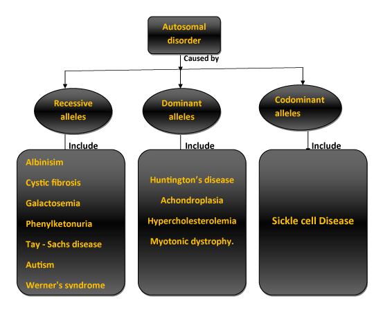 human-inheritance-genetic-disorders