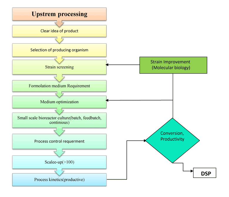 Process перевод