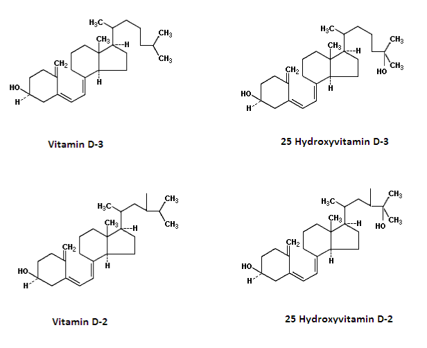 Chemical structures of vitamin